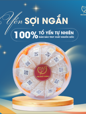 Tổ Yến Tinh Chế (100g) - Sợi ngắn